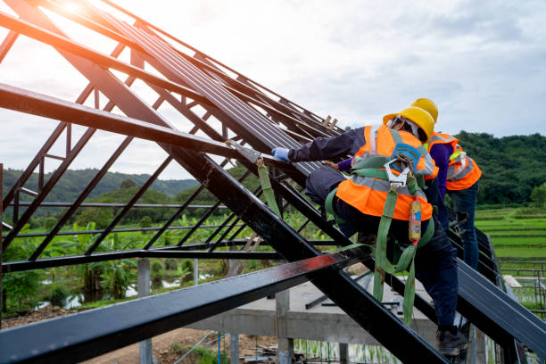 Best Commercial Roofing Services  in Clearwater, MN