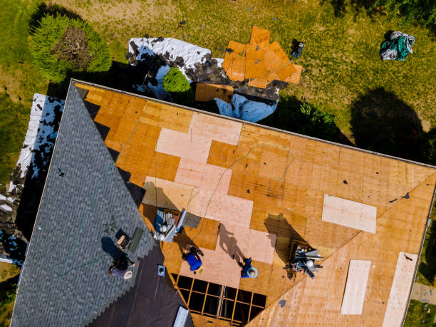 Best Flat Roof Repair Services  in Clearwater, MN