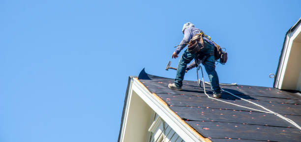 Roof Gutter Cleaning in Clearwater, MN